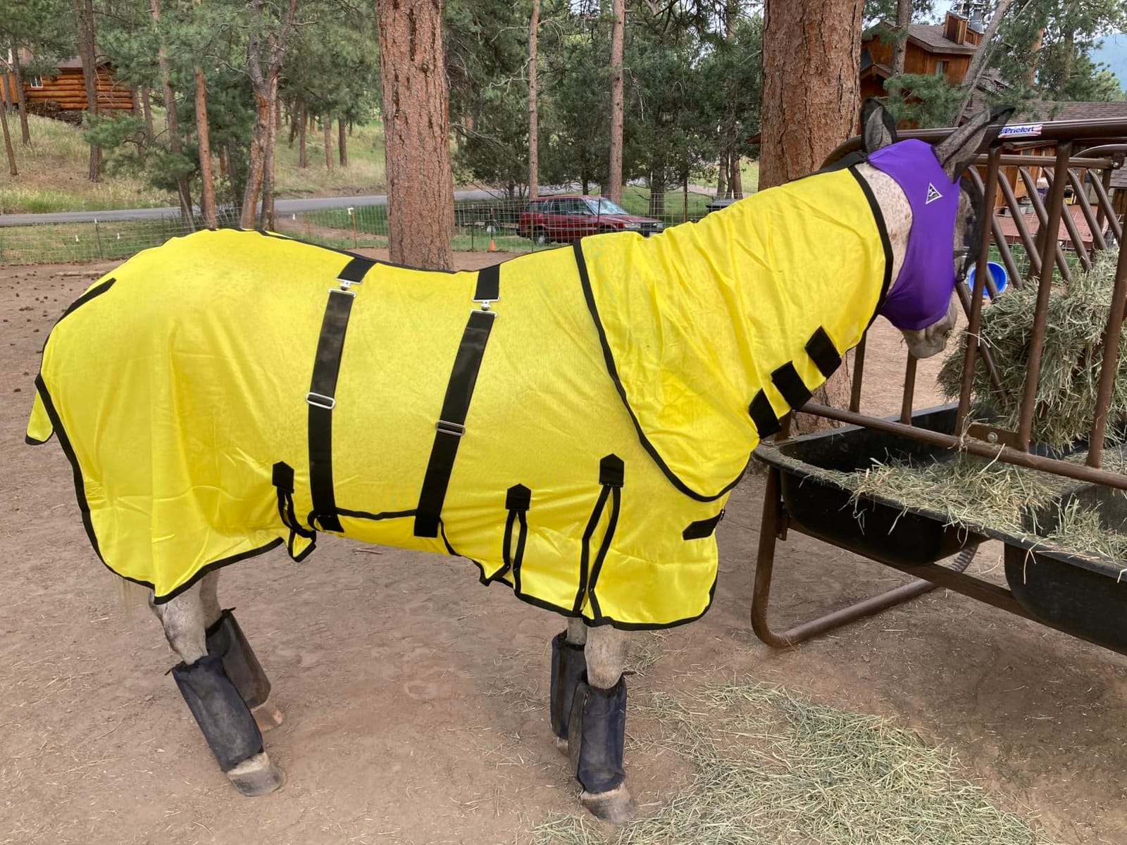HILASON Horse Fly Sheet Breathable Mesh UV Protection Mosquito Bug Summer customer photo 2