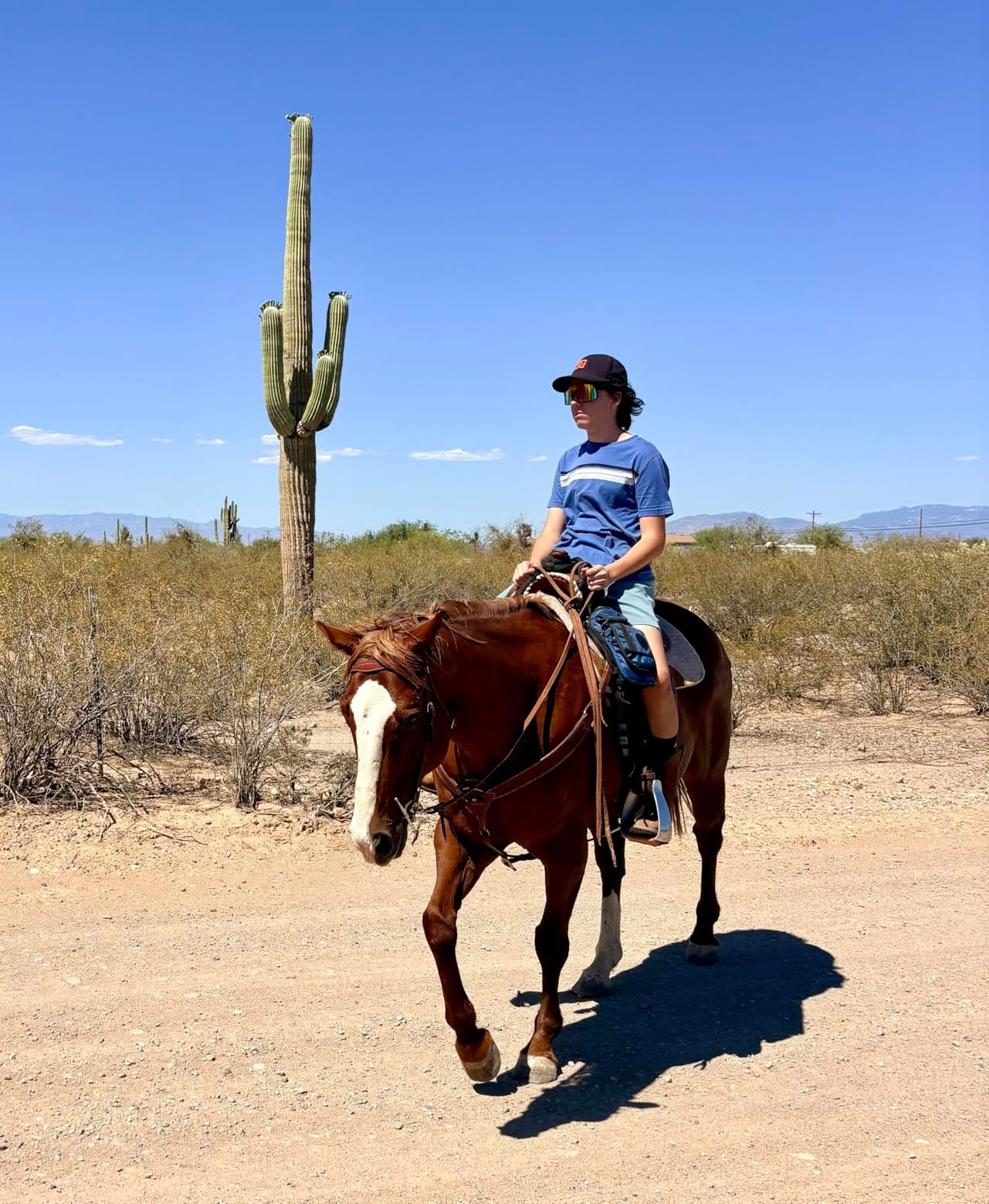 Harrison Howard Trail Seat Saver Western Tack Saddle Ride-on Pad with Cushion Bottom Helps Distribute Back Pressure customer photo 1