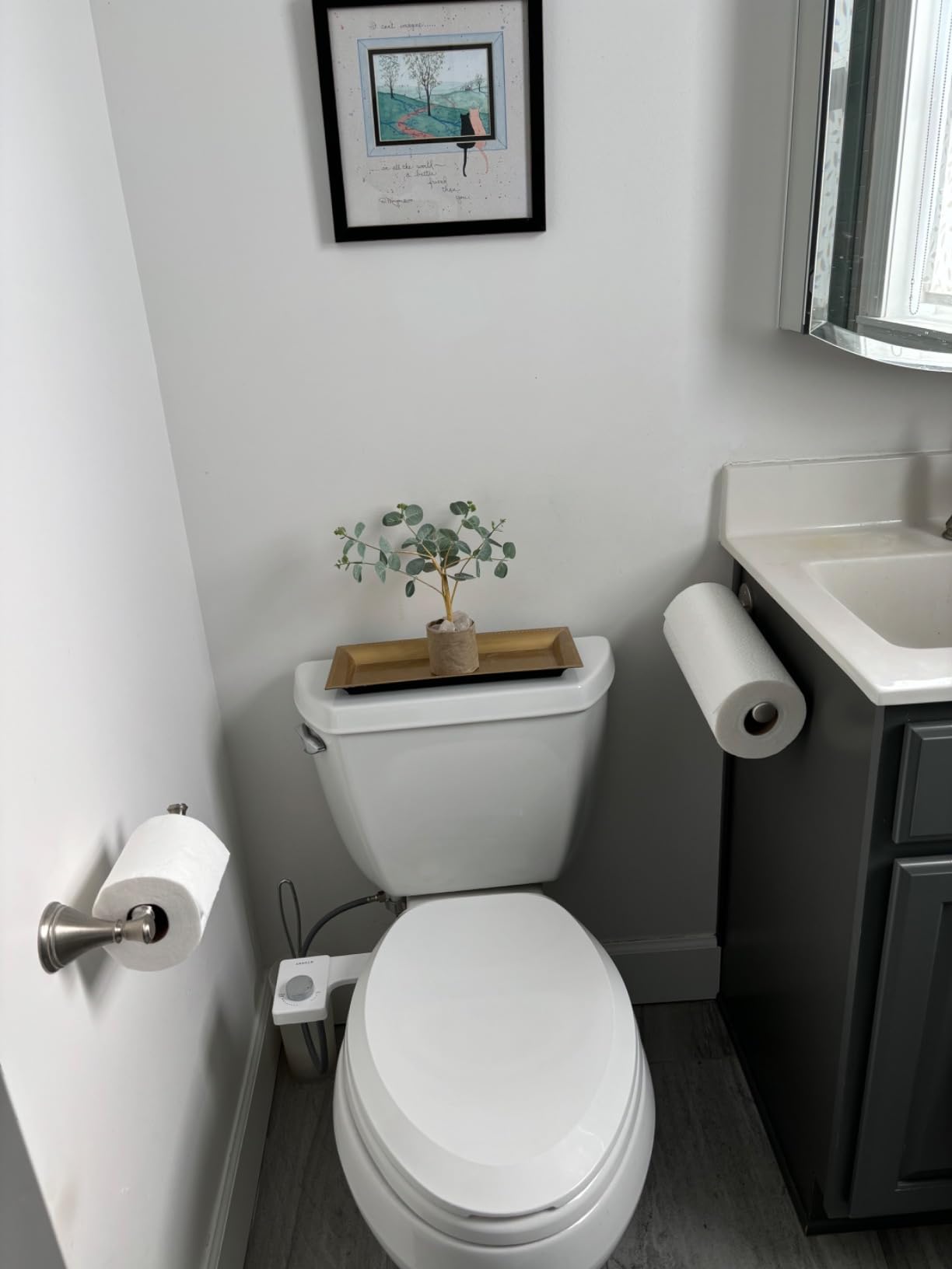 TUSHY Fresh Ultra-Slim Starter Bidet Attachment, Silver | Non-Electric, Cool Water Rear Wash, Adjustable Pressure, Self-Cleaning, Fits Elongated and Round Toilets, 10 Minute Install customer photo 1