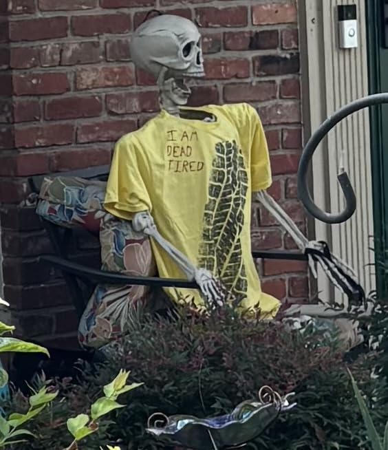 JOYIN 5.6 FT Halloween Posable Life Size Skeleton, Full Body Realistic Bones with Movable Joints, Giant Skeletons Halloween Decorations for Indoor Outdoor Haunted House Props, Spooky Scene Party Decor customer photo 2