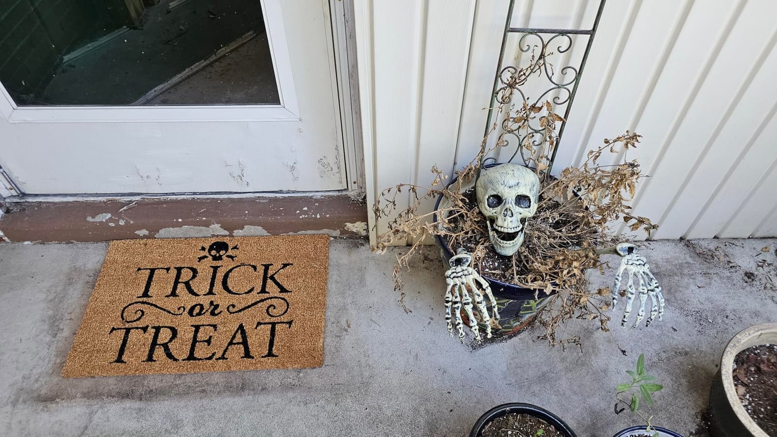 5.4FT Life Size Skeleton with Cat Dog, Plastic Skeleton for Halloween Decor | Full Size Poseable Skeleton for Halloween Front Yard Patio Lawn Garden Props Spooky Party Decoration customer photo 1