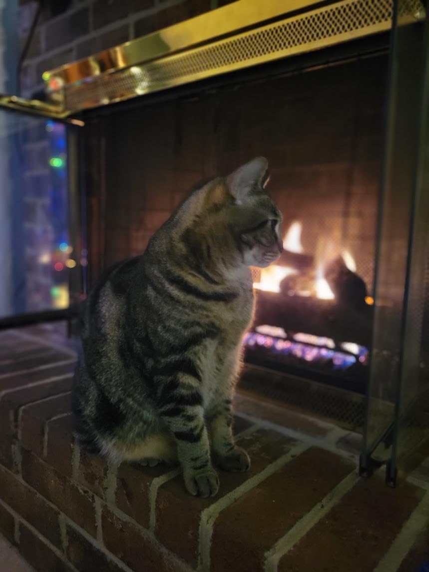 Peterson Fyreside 18-inch Live Oak Log Set with Vented Burner and Gas Connection Kit. Match Lit (Natural Gas Only) customer photo 1