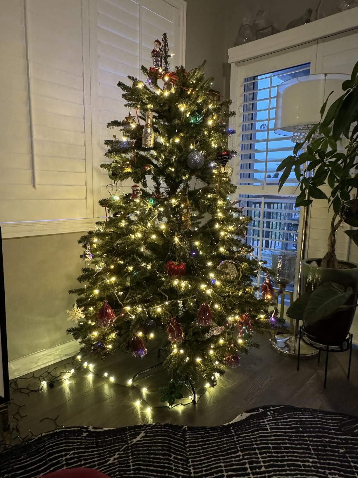 Balsam Hill BH Fraser Fir Full Pre-Lit Christmas Tree, Most Realistic True Needle Foliage, Easy Plug Technology, LED Clear, 6.5ft customer photo 1