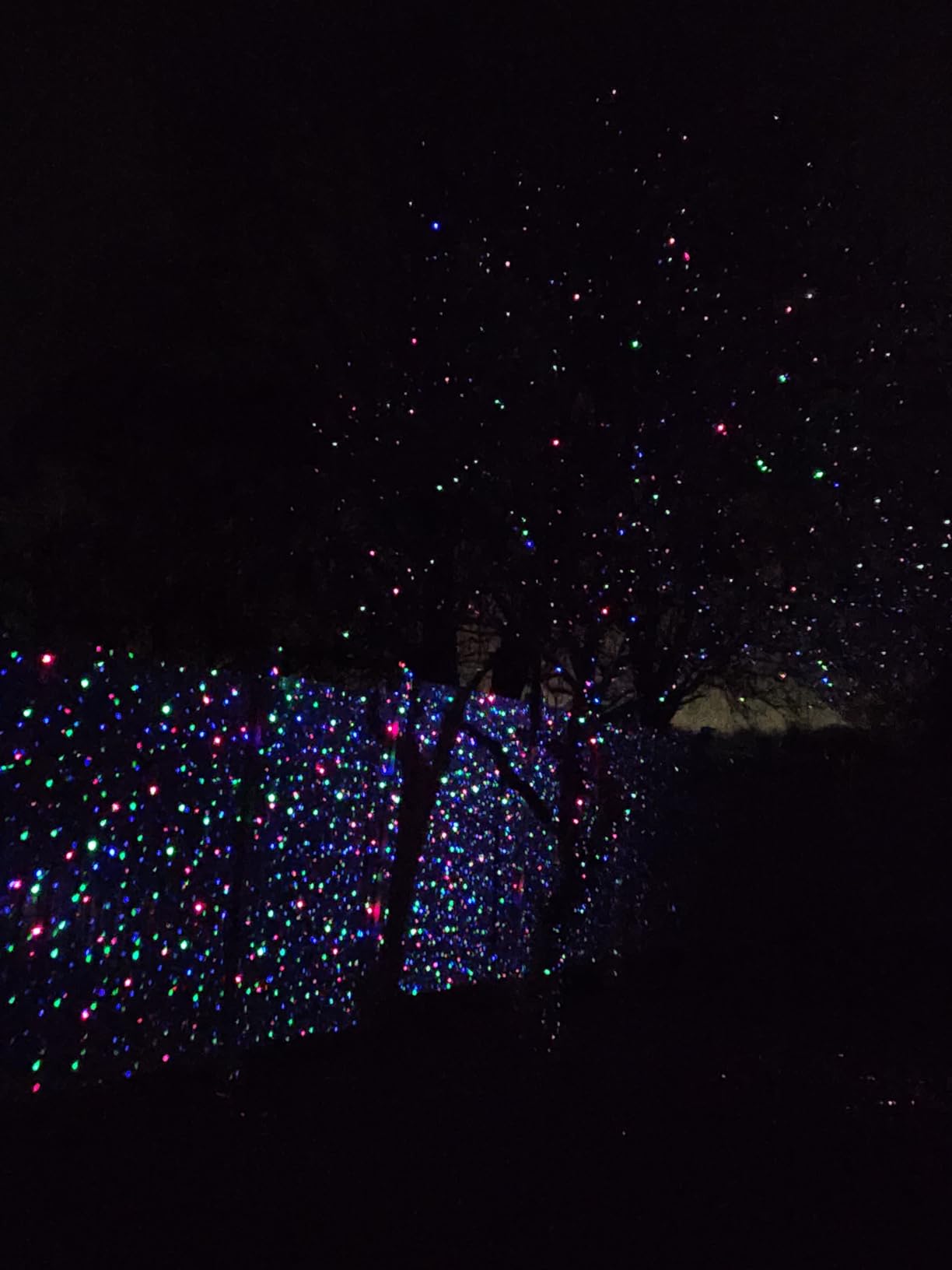 Outdoor RGB Laser Projector Lights 3 Color Starry Sky Firefly Effect, IP65 Moving Projection Light with Remote for Christmas Halloween Parties, Garden, Yard, New Year customer photo 1