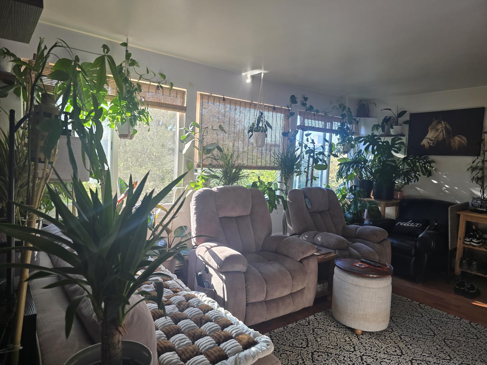 BAYUE Bamboo Blinds, Roll Up Window Shades with Light Filtering for Home | Bamboo Shades for Indoor Windows, Easy Install Bamboo Blinds for adding natural style to living rooms, offices, and sunrooms customer photo 2