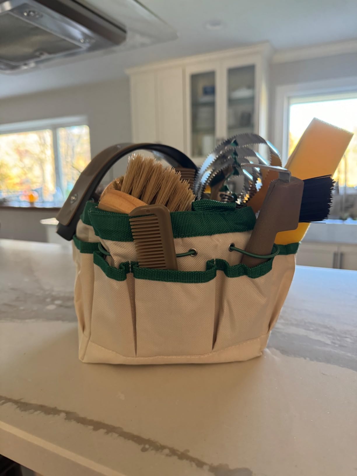Professional 10 Pieces Horse Grooming Kit with Tote Bag, Horse Brush & Curry Comb Set for Effective Grooming and Bathing, Equine Coat Care Tack Room Supplies, Horse Gifts for Girls customer photo 1