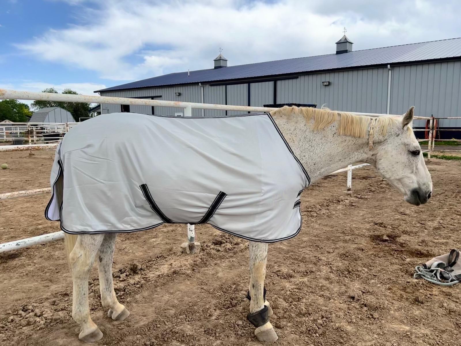 Equinavia Gard Horse Fly Sheet Nylon Mesh Equine Fly Sheet for Horses, Pony | Turnout Horse Fly Sheets, Breathable Pony & Horse Sheet, Lightweight, Against Pests, Sun UV Protection customer photo 1