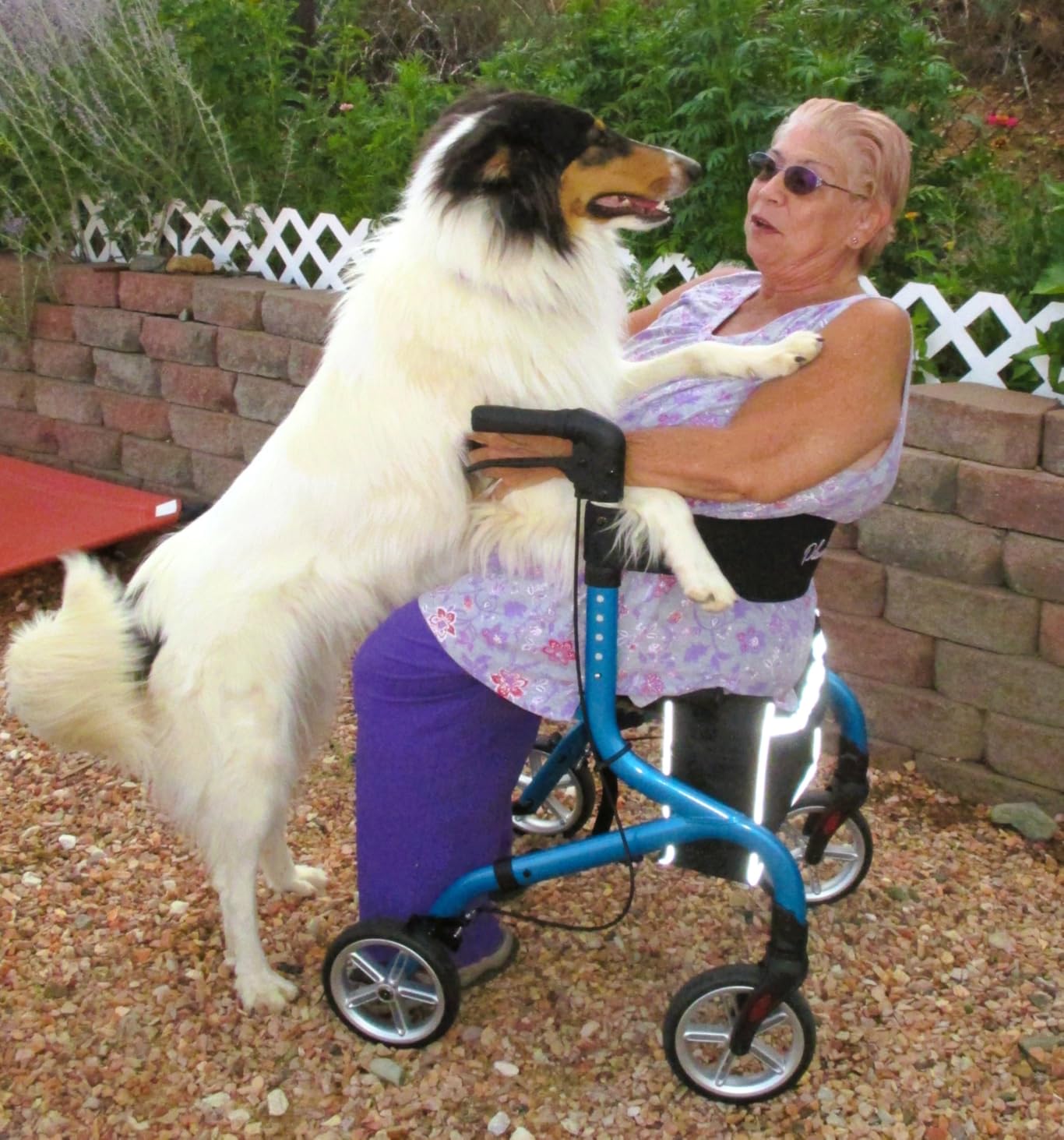 PLANET WALK Super Lightweight Rollator Walker for Seniors, Foldable Rolling Walker with Seat and 8