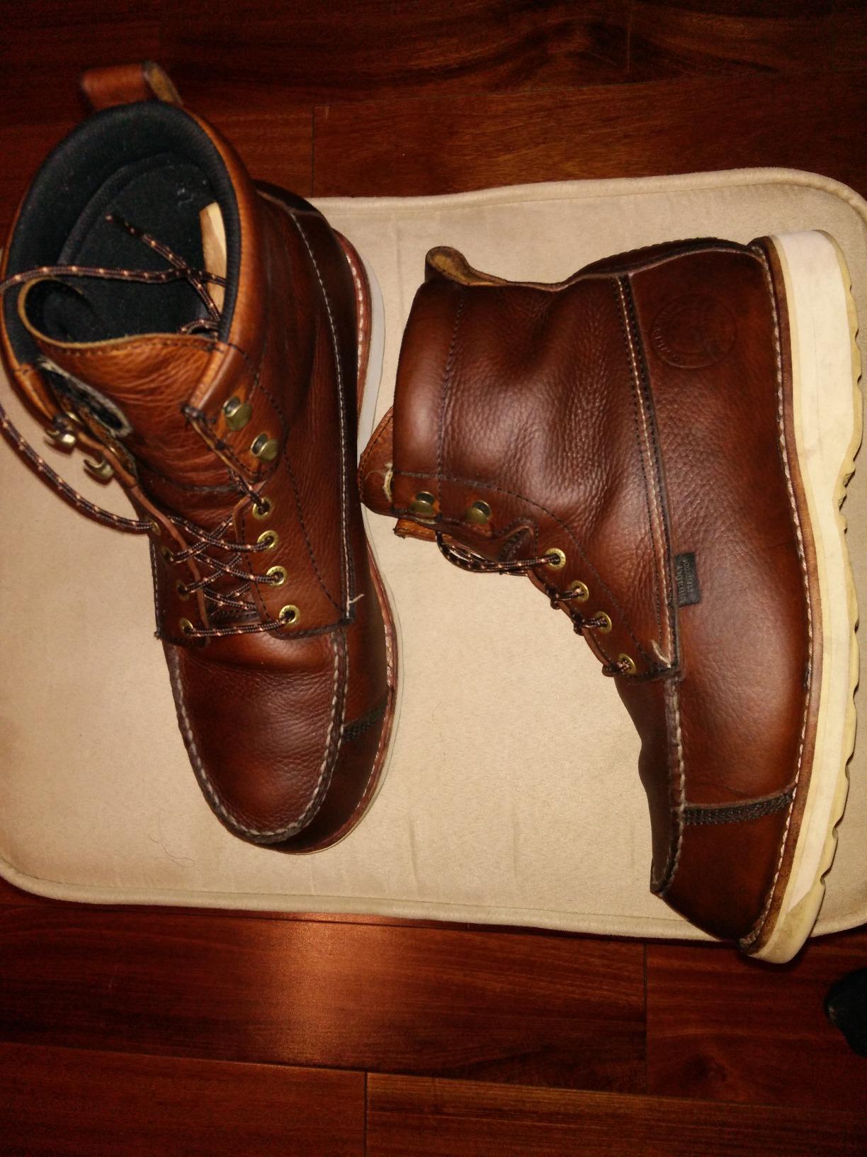 Irish Setter Wingshooter 7