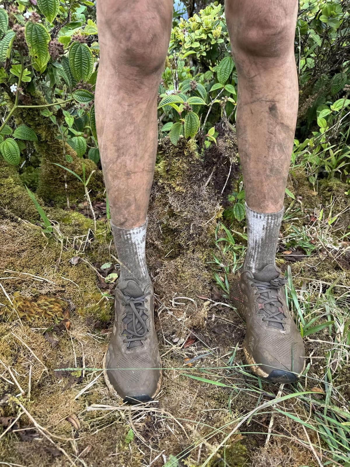 adidas Women's Terrex Soulstride Rain.rdy Trail Running Shoes customer photo 2