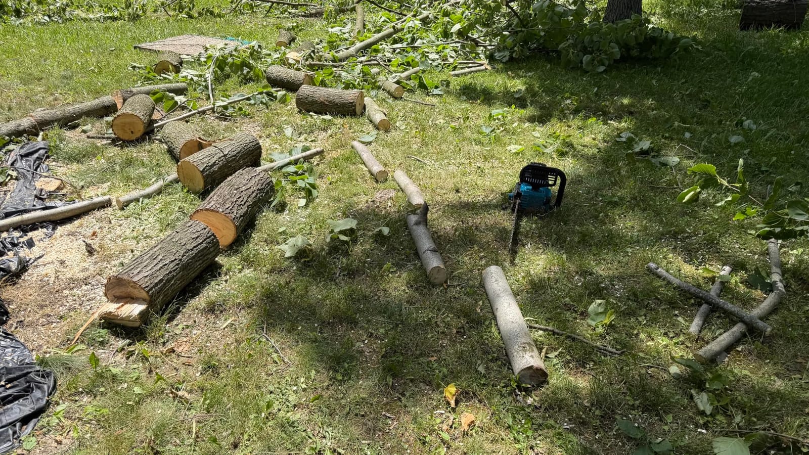 SEESII 40V 16-Inch Cordless Electric Chainsaw, 2000W Brushless, 2x4000mAh Batteries customer photo 2