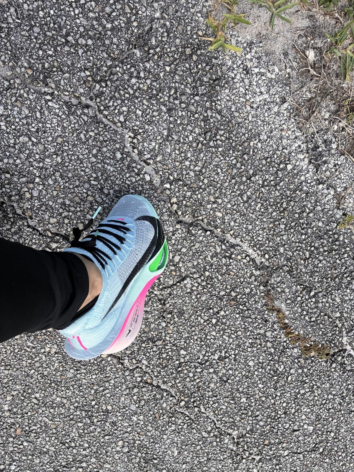 Women's Alphafly 3 Road Racing Shoes customer photo 1