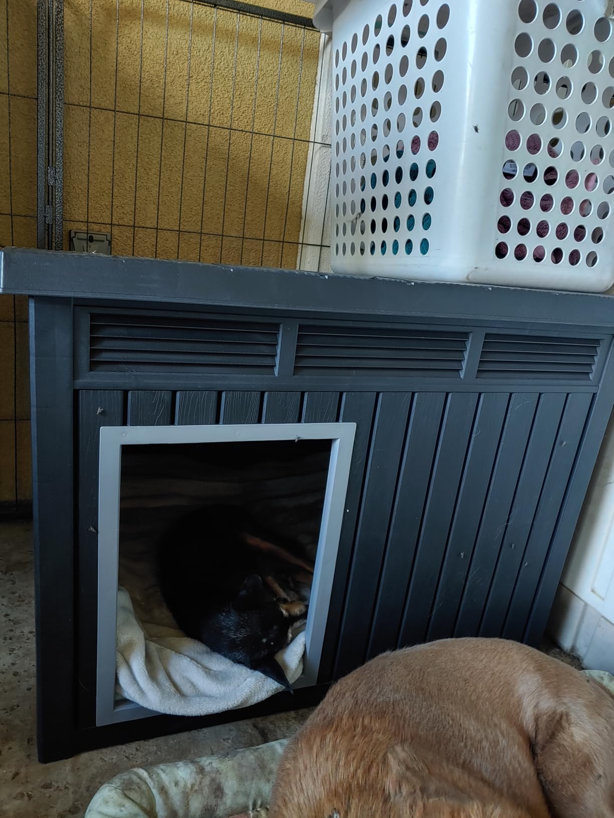 VIXZEN Dog House Outdoor & Indoor, Medium Size, Black, Weatherproof PP Resin Material, Openable Roof for Easy Cleaning, Sloped Roof & Air Vents, Easy Assembly customer photo 2