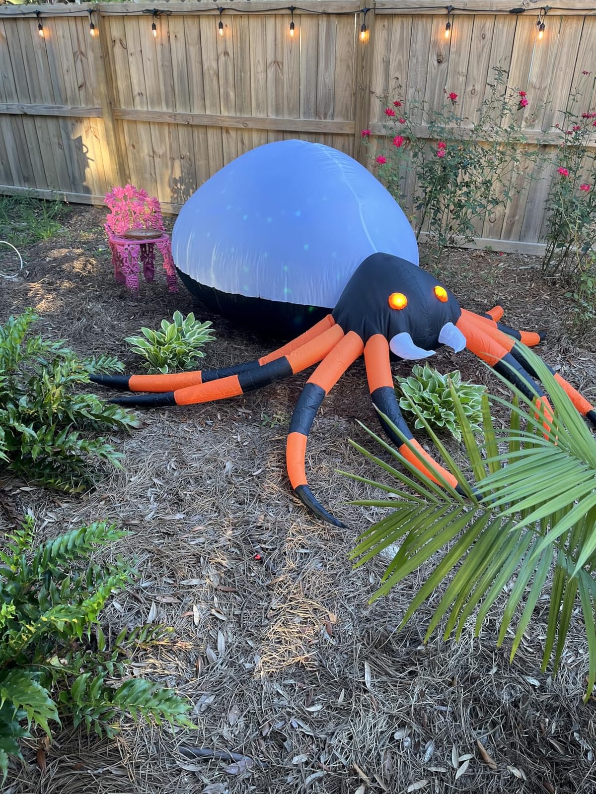 JOYIN 8 FT Halloween Inflatable Giant Spider Outdoor Decorations, Blow Up Spider Yard Decorations with Rotating Colorful Light and Glowing Eyes for Halloween Party Lawn Garden Outside Decor customer photo 2