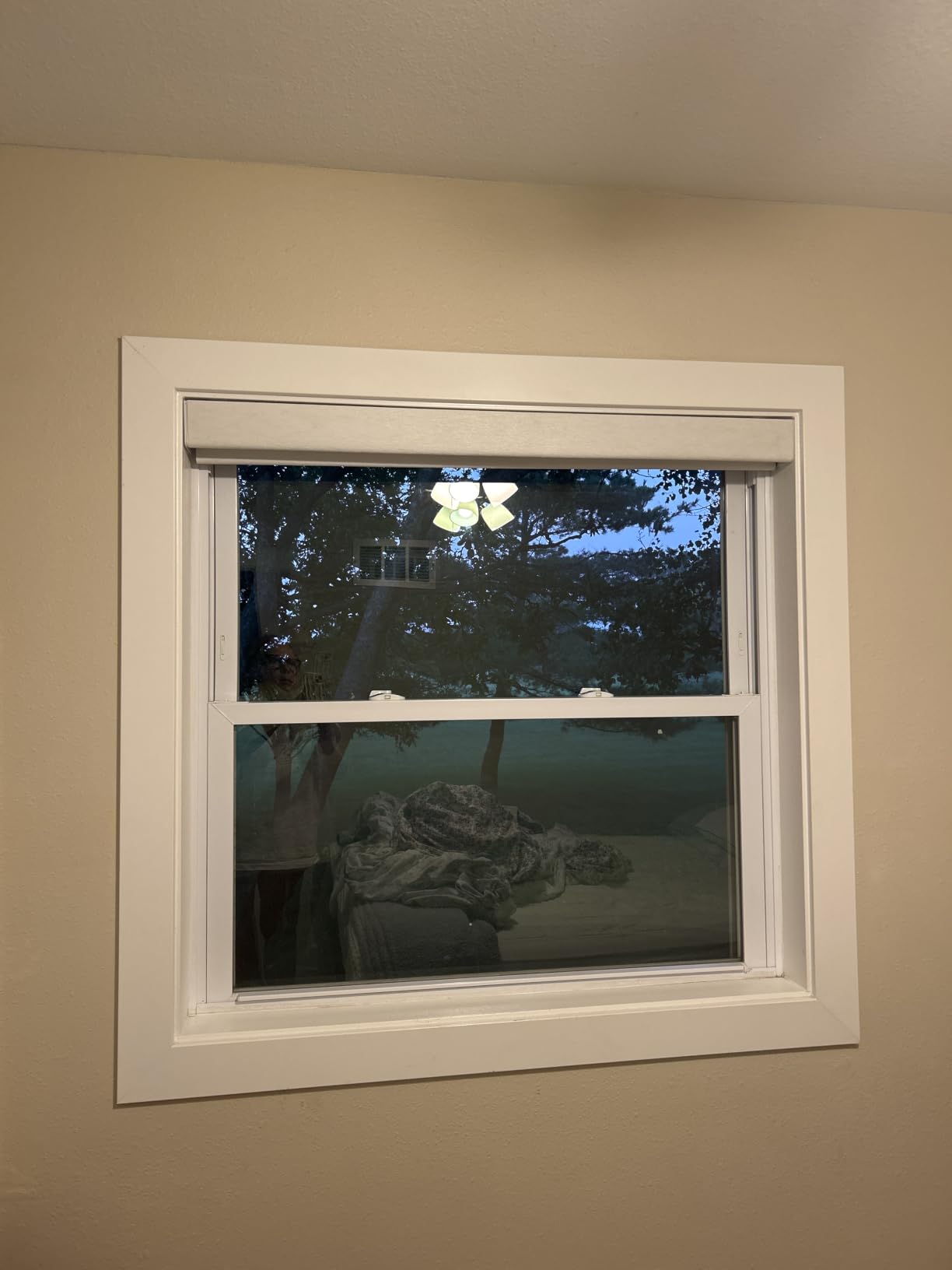 Cordless Roller Shades 100% Blackout Blinds for Windows and Doors, Pull Down Room Darkening Window Shades, Easy to Install for Home and Office, Black, Fixed 75 Inches High, 22 Inches Width customer photo 2