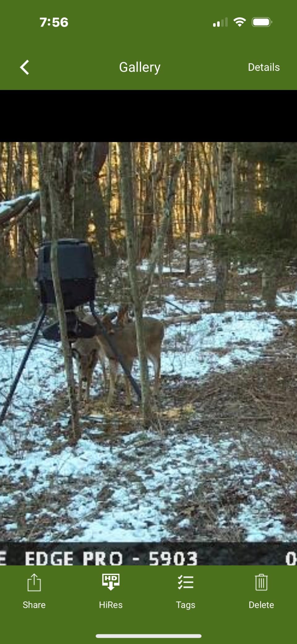 Moultrie Gravity Deer Feeder - Tripod Game Feeder - Easy Conversion Adapter - Protein Pellet Ready - Rugged No-Power Setup for Deer Management customer photo 2