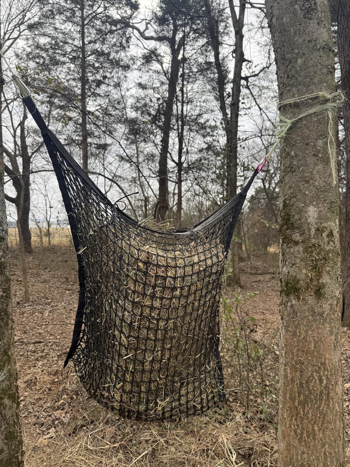 Slow Feed Hay Nets for Horses, Large Capacity Hay Bags, 4 Pack | 35 x 31 in, Black customer photo 1