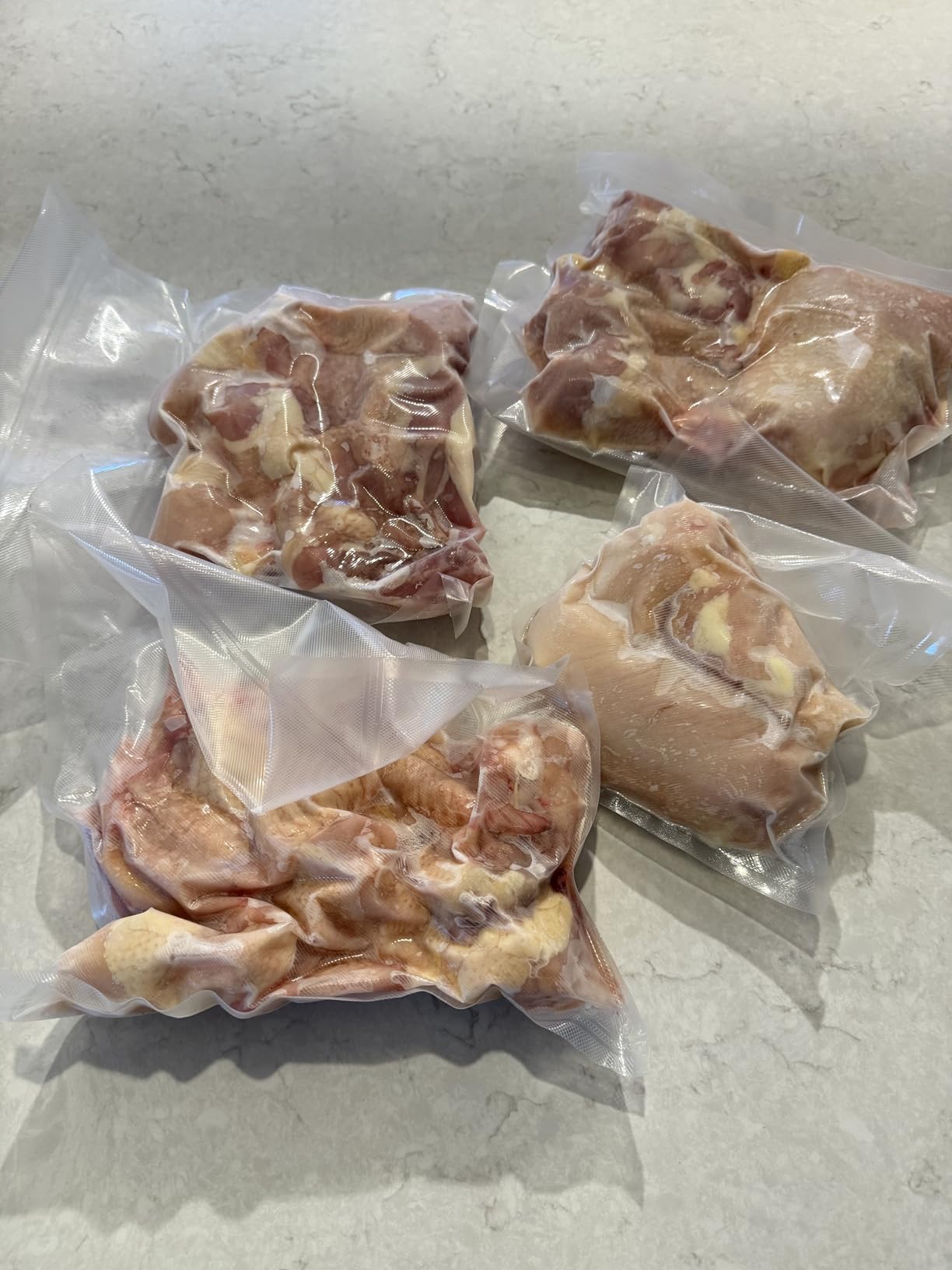 Gasbye Chamber Vacuum Sealer - 5.3QT Large Chamber, Replaceable 11.5