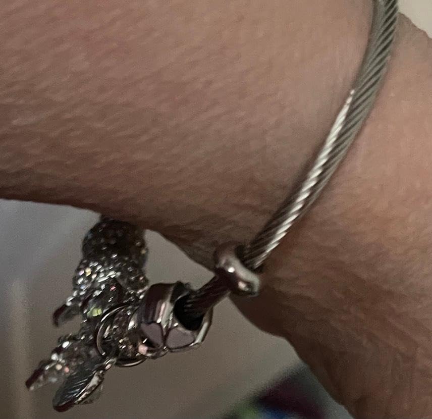 Charm Bracelets for Womens, Exquisite Cute Cartoon Friendship Silver Bracelets Stainless Steel Bangle customer photo 1