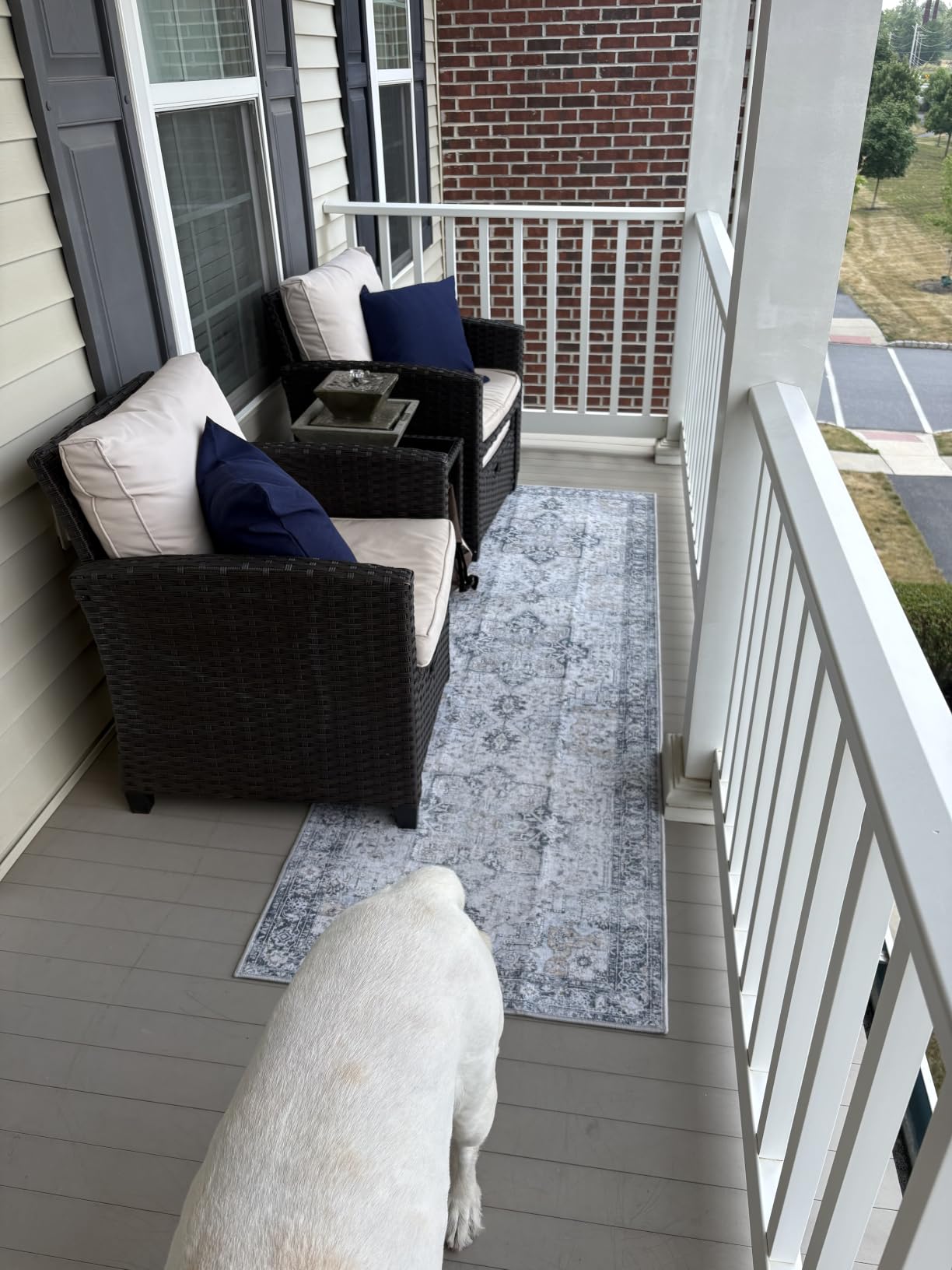 GENIMO 5x8 Outdoor Rug, Washable for Patio and Deck, Blue | Vintage boho medallion design for porch; fade resistant chenille with quick-dry non-slip backing for indoor sunroom customer photo 2