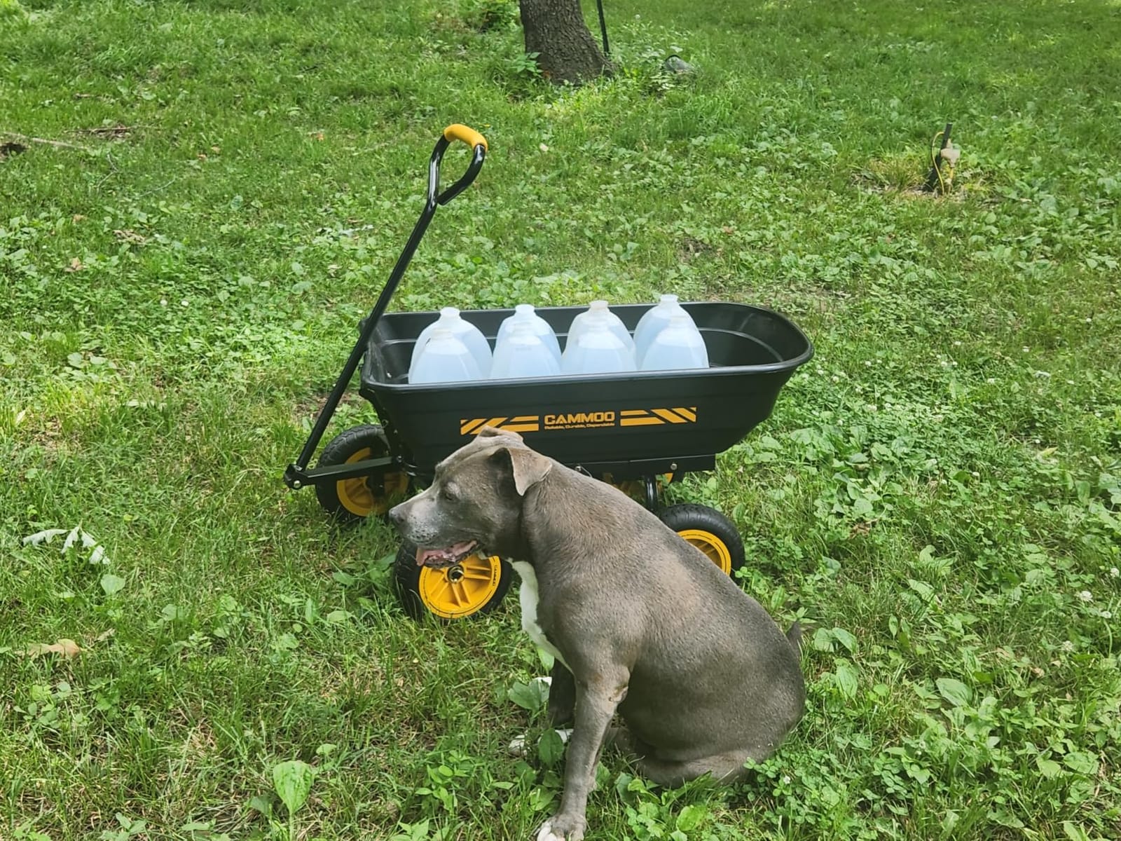 CAMMOO 10-in NO-Flat Tires 600lb Garden Dump Cart 4 Cu.Ft. Wheelbarrow customer photo 1