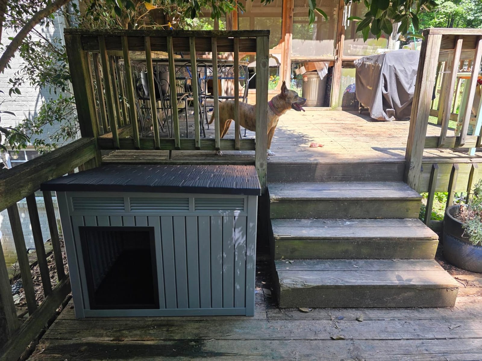 DRATO Dog House, Weatherproof Resin Outdoor Dog House for Large Dogs, Sloped Openable Roof, Air-Rod Support & Fixed Louvered Structure, Spacious Interior Easy Assembly Pet Shelter Indoor Outdoor (Grey) customer photo 2