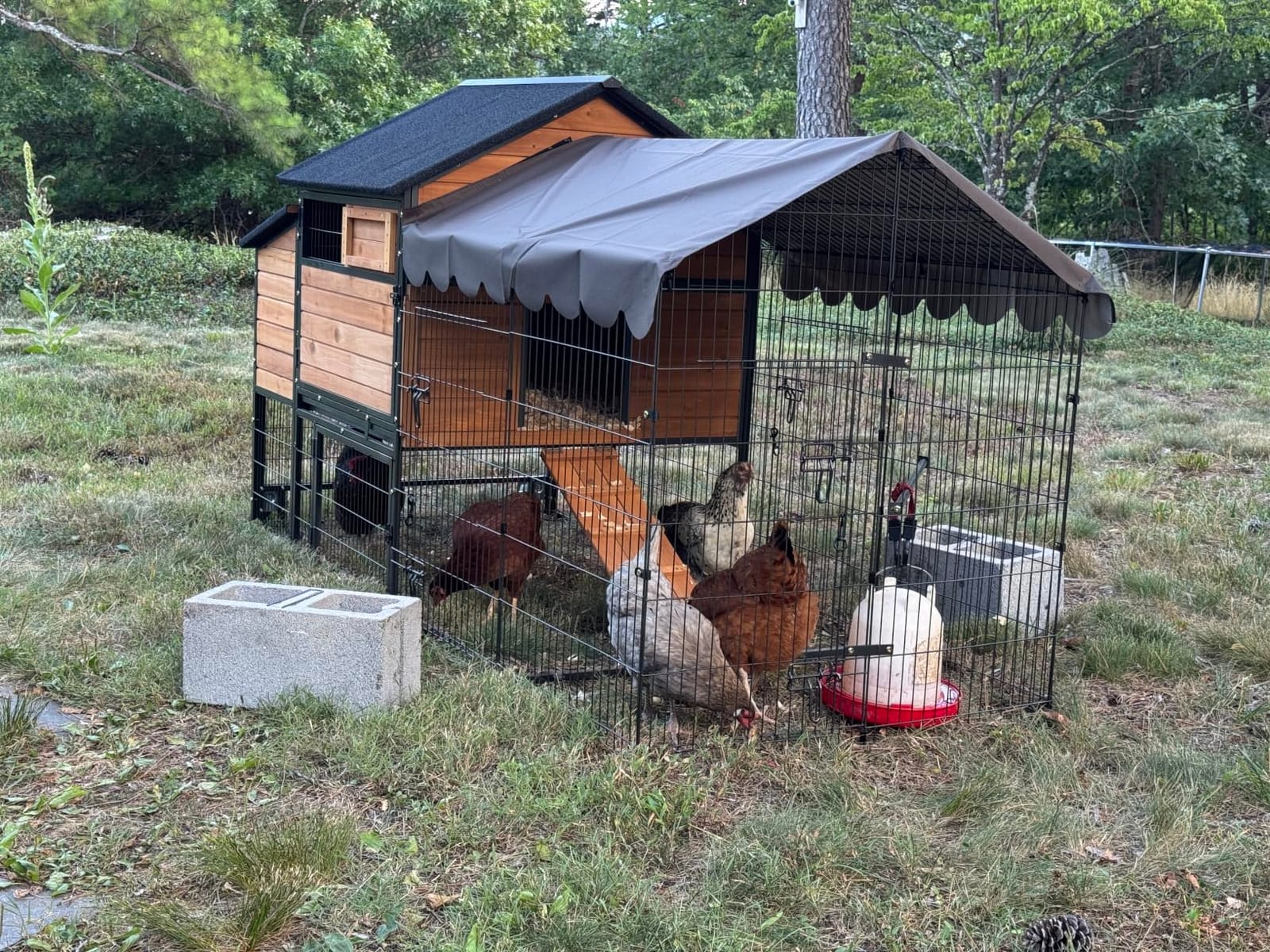 Wooden Chicken Coop, Large Chicken Tractor with Wheels, Weatherproof Hen House with Nest Box and Removable Tray, Mobile Poultry Hutch for 2-4 Chickens, Rabbits & Ducks (Red) customer photo 1