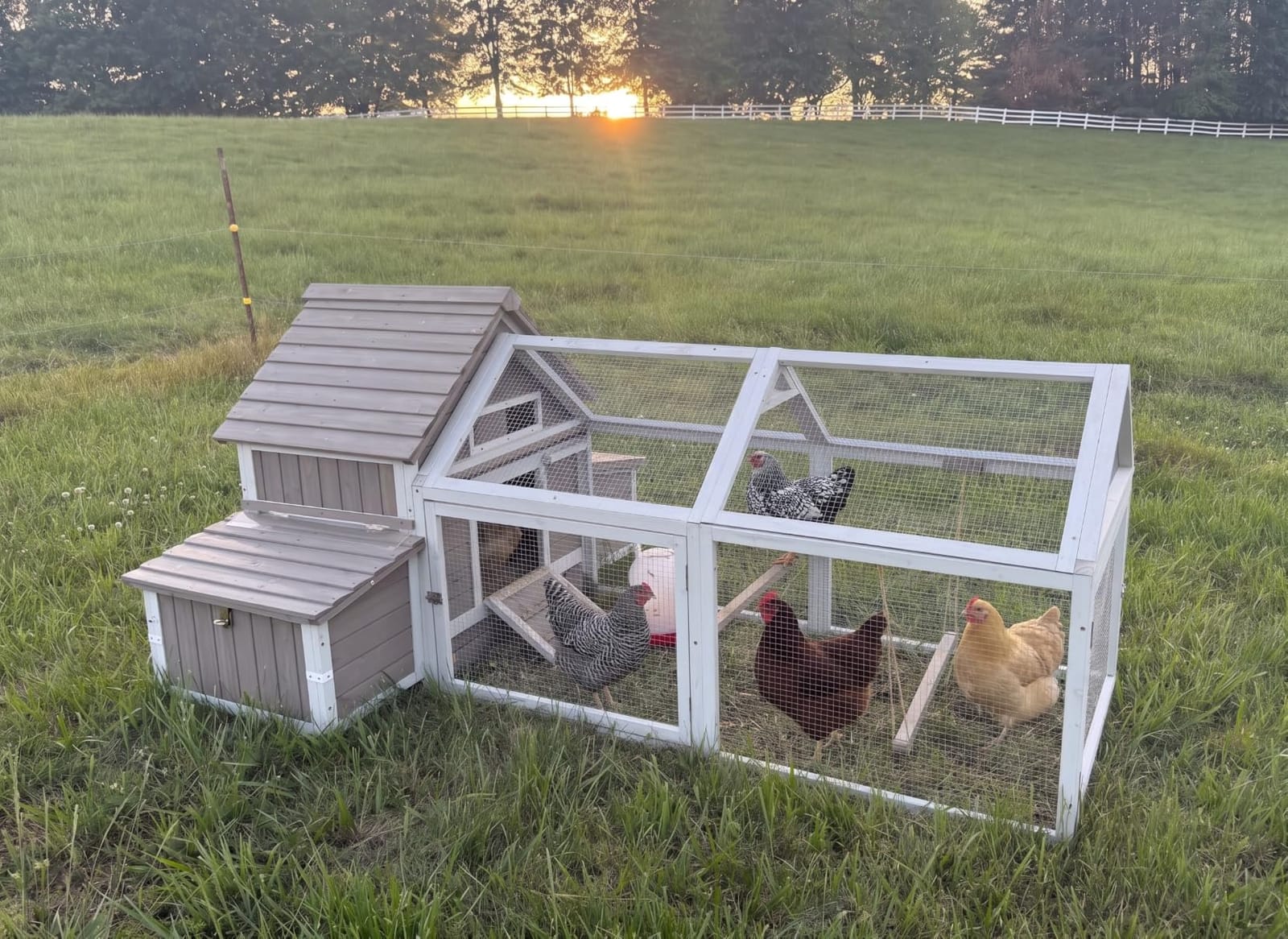 Large Mobile Chicken Coop for 4-6 Chickens with Wheels, 95