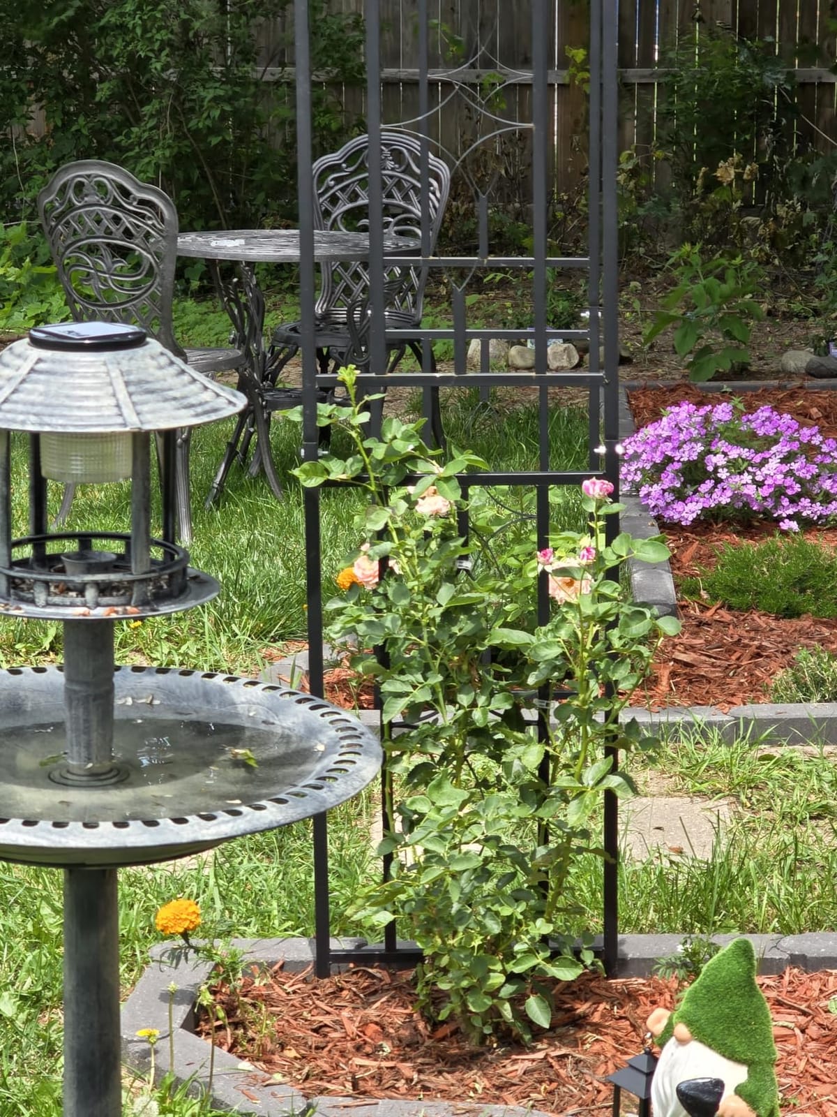 Metal Garden Arch, Heavy Duty Garden Trellis for Climbing Plants, with Enlarged Base for Stability, Ideal for Wedding Arches & Party Decorations, 55