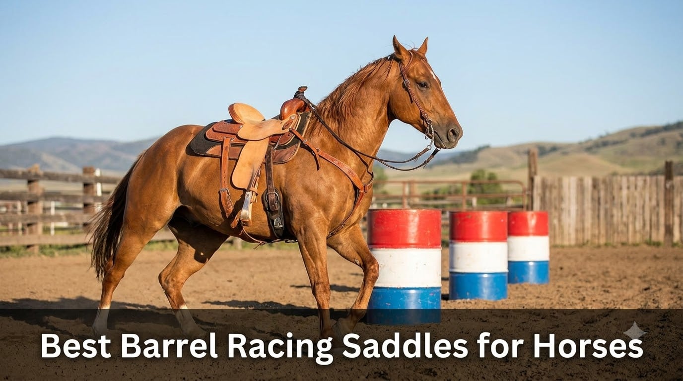 Best Barrel Racing Saddles for Horses