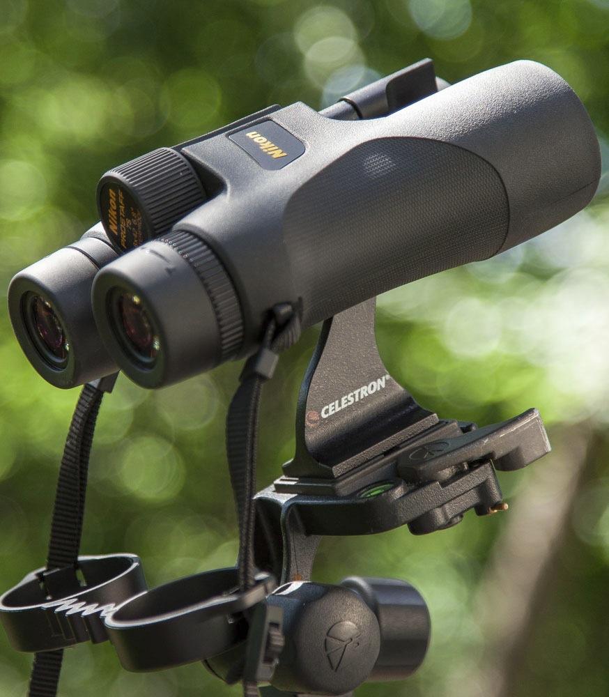 Celestron Binocular Tripod Adapter with Standard 1/4