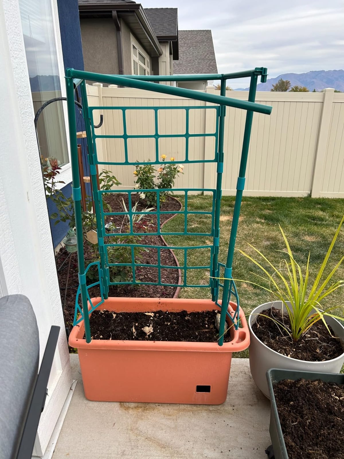 Hydrofarm GCTR Tomato Grow System, 10 Gal Planter, 4 Ft Trellis, Wheels customer photo 2