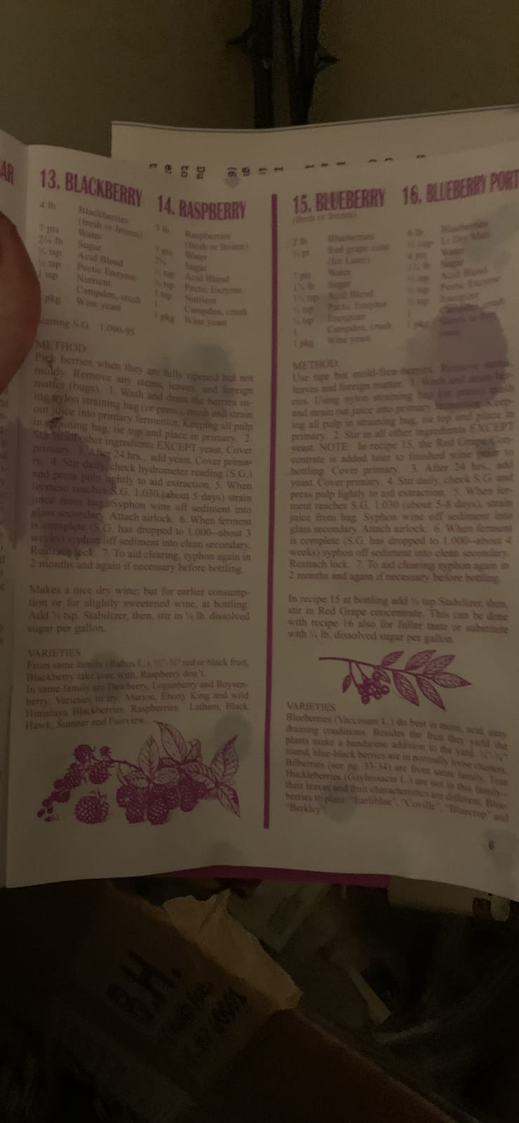 1 Gallon Wine from Fruit Kit customer photo 2
