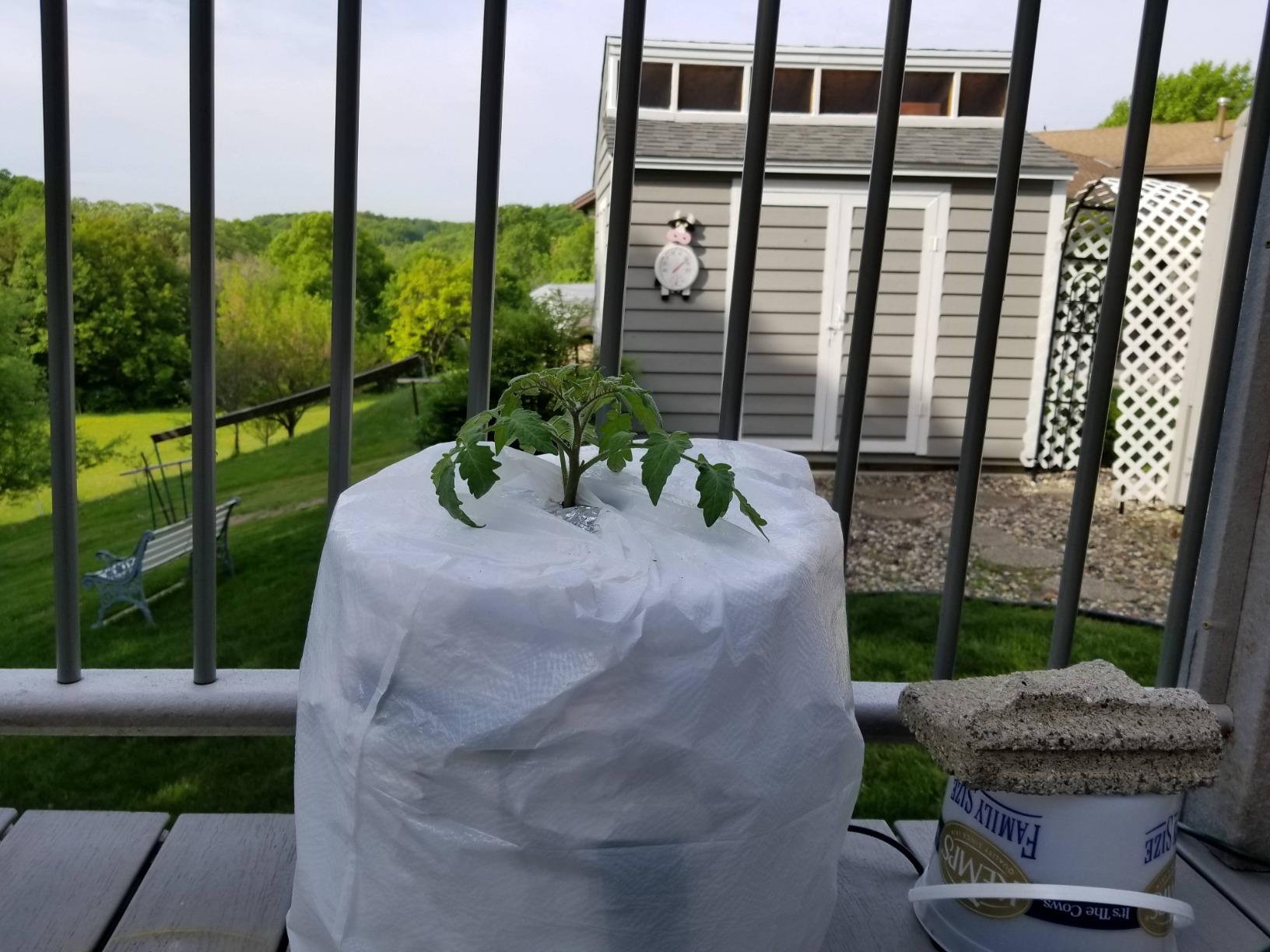 Deep Water Culture (DWC) Hydroponic Bucket Kit 5 Gallon, 6 inch customer photo 1
