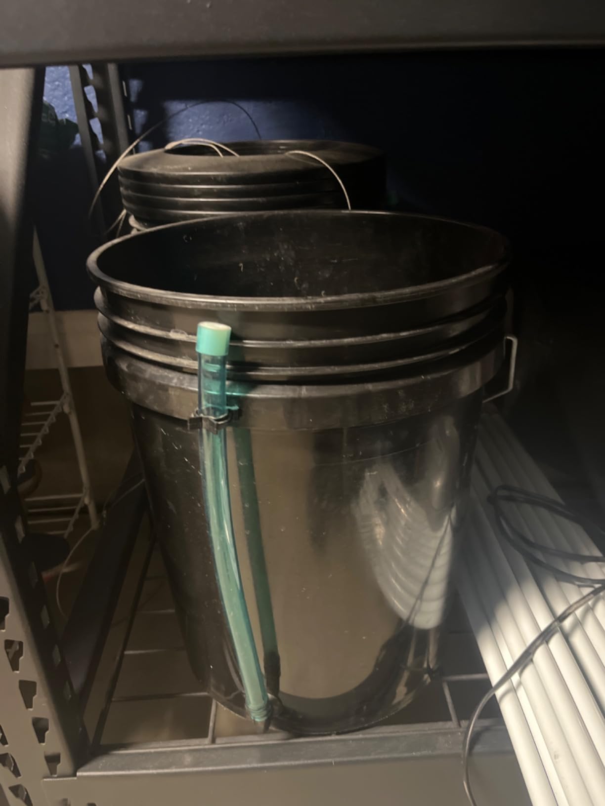 ACTIVEAQUA RS5GAL4SYS Root Spa 5 Gallon Hydroponic 4 Bucket Deep Water Culture Grow Kit System with Multi-Purpose Air Hose and Air Pump, Black customer photo 1