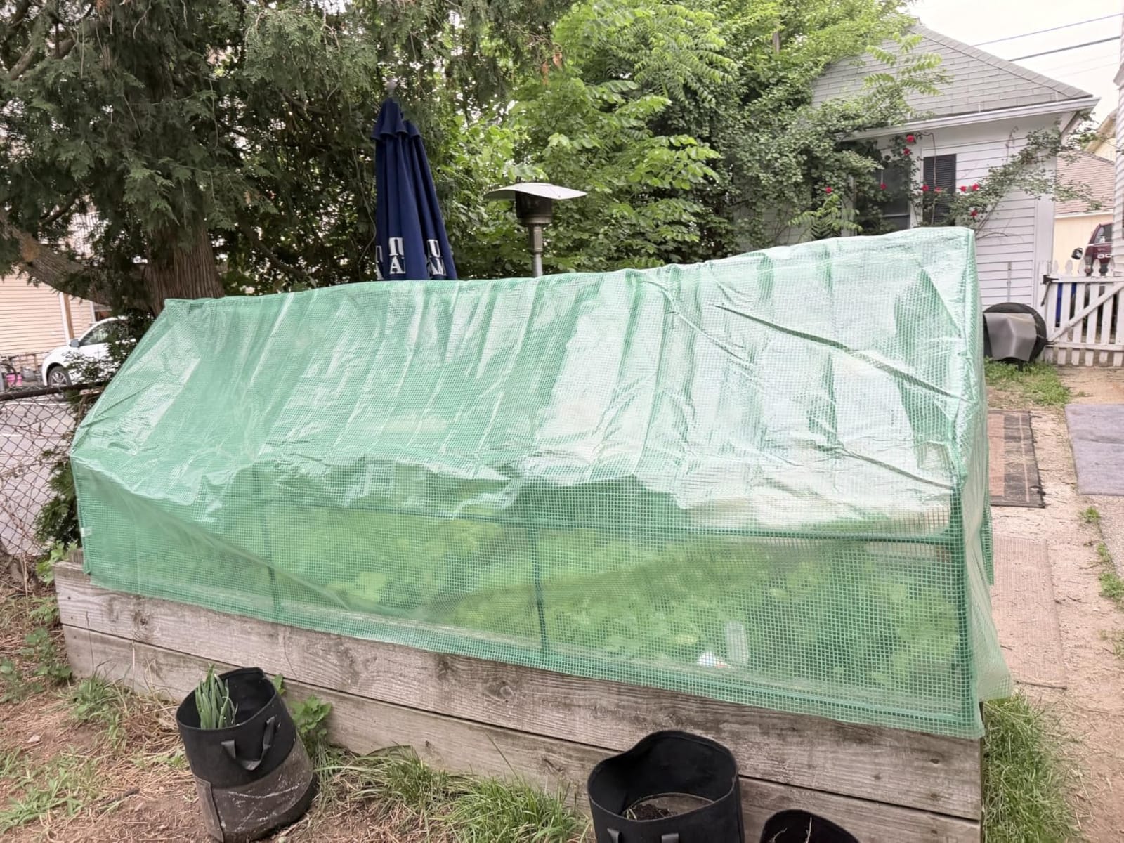 Outsunny 9' x 3' x 3' Mini Greenhouse Portable with Zippered Doors Green customer photo 1