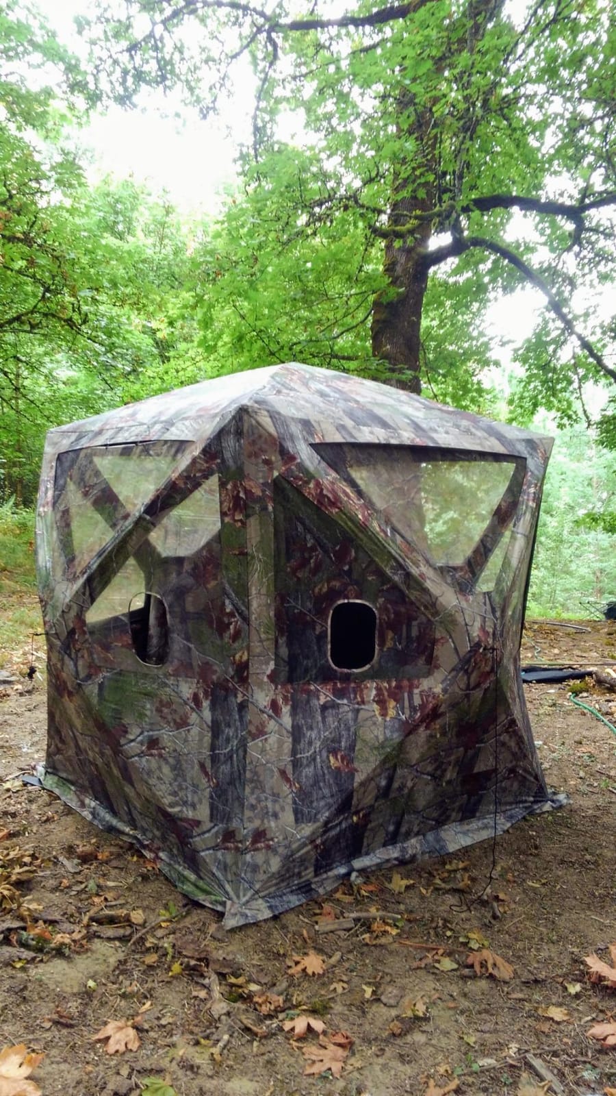 Barronett Big Cat Ground Hunting Blind, 3 Person Pop Up Portable, Backwoods Camo BC350BW customer photo 2
