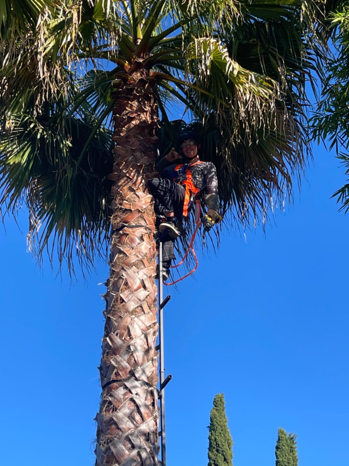 Guide Gear Climbing Stick Ladder for Tree Stands, Climbing Equipment for Deer Hunting, 25’ customer photo 2