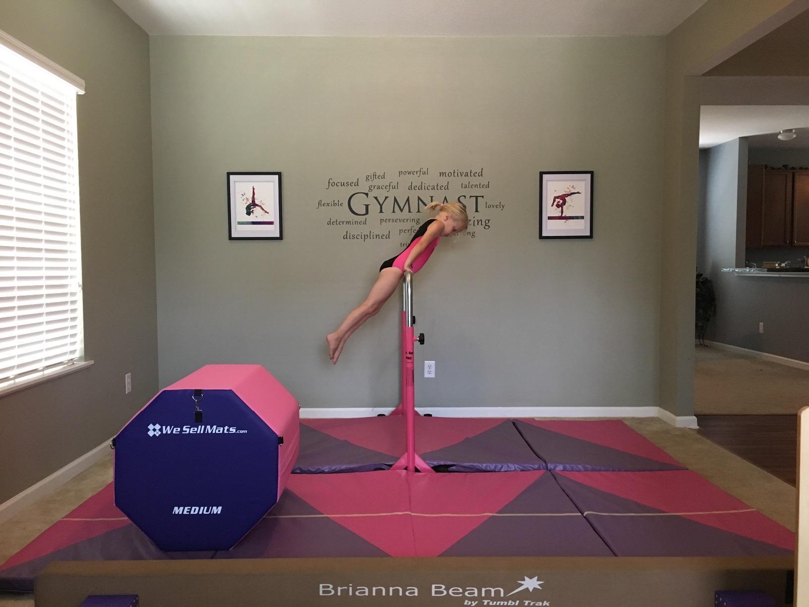 Tumbl Trak Jr. Bar PRO Adjustable Height Horizontal Gymnastics Kip Bar for the Gym or Home customer photo 1