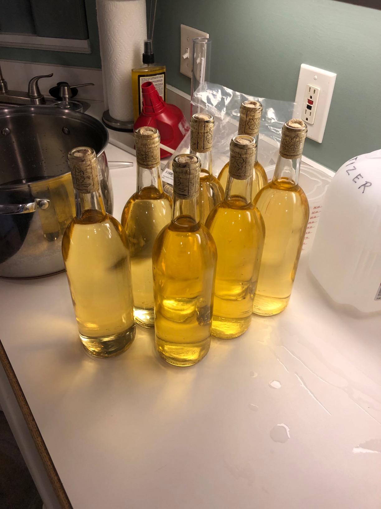 Wild Grapes DIY Wine Making Kits, Pinot Grigio Style, Makes up to 30x750mL customer photo 2