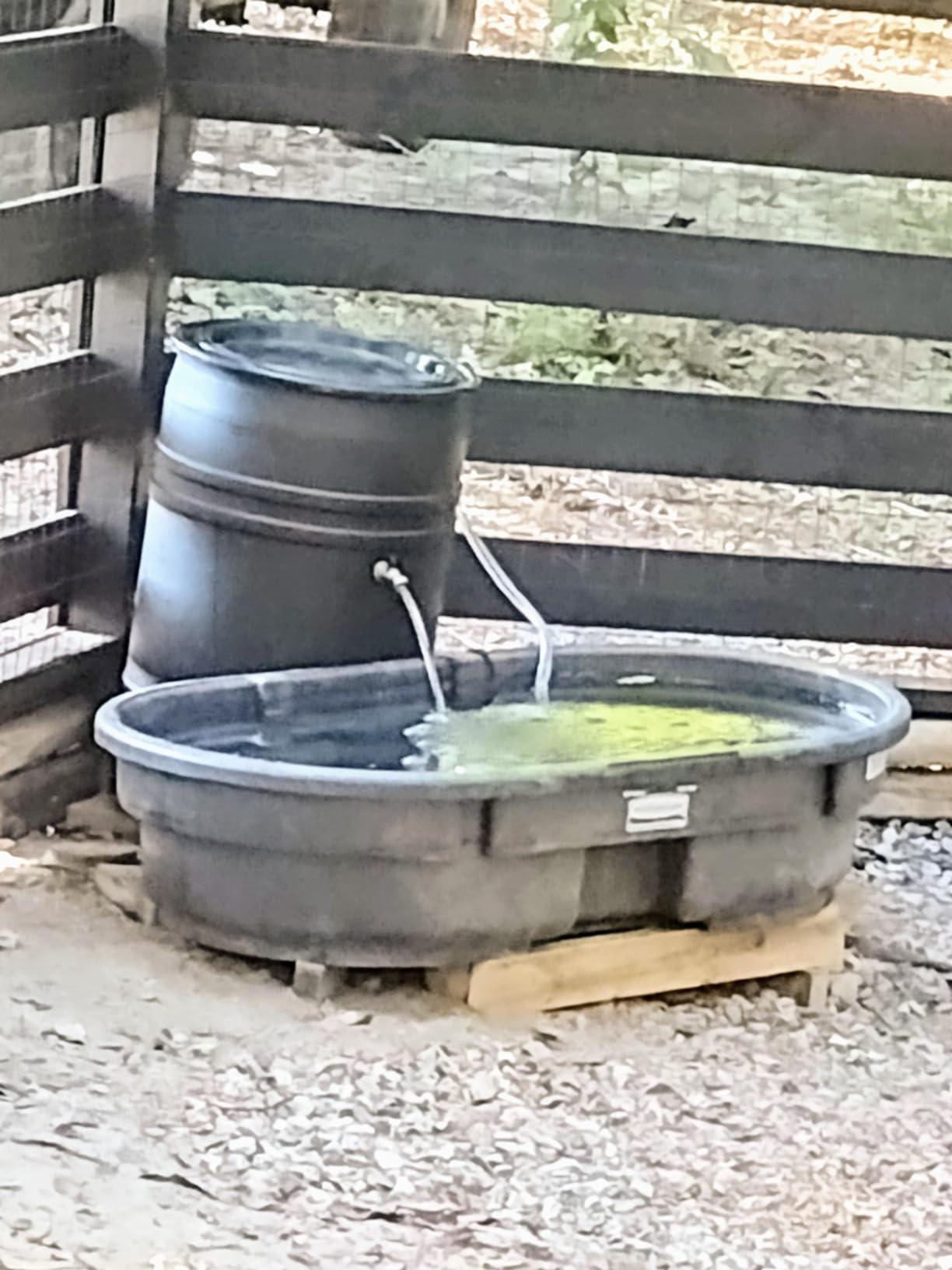 RBS005 Brass Water Container/Rain Barrel Quarter Turn Spigot(LF Compliant, For OPEN TOP BARRELS) customer photo 2