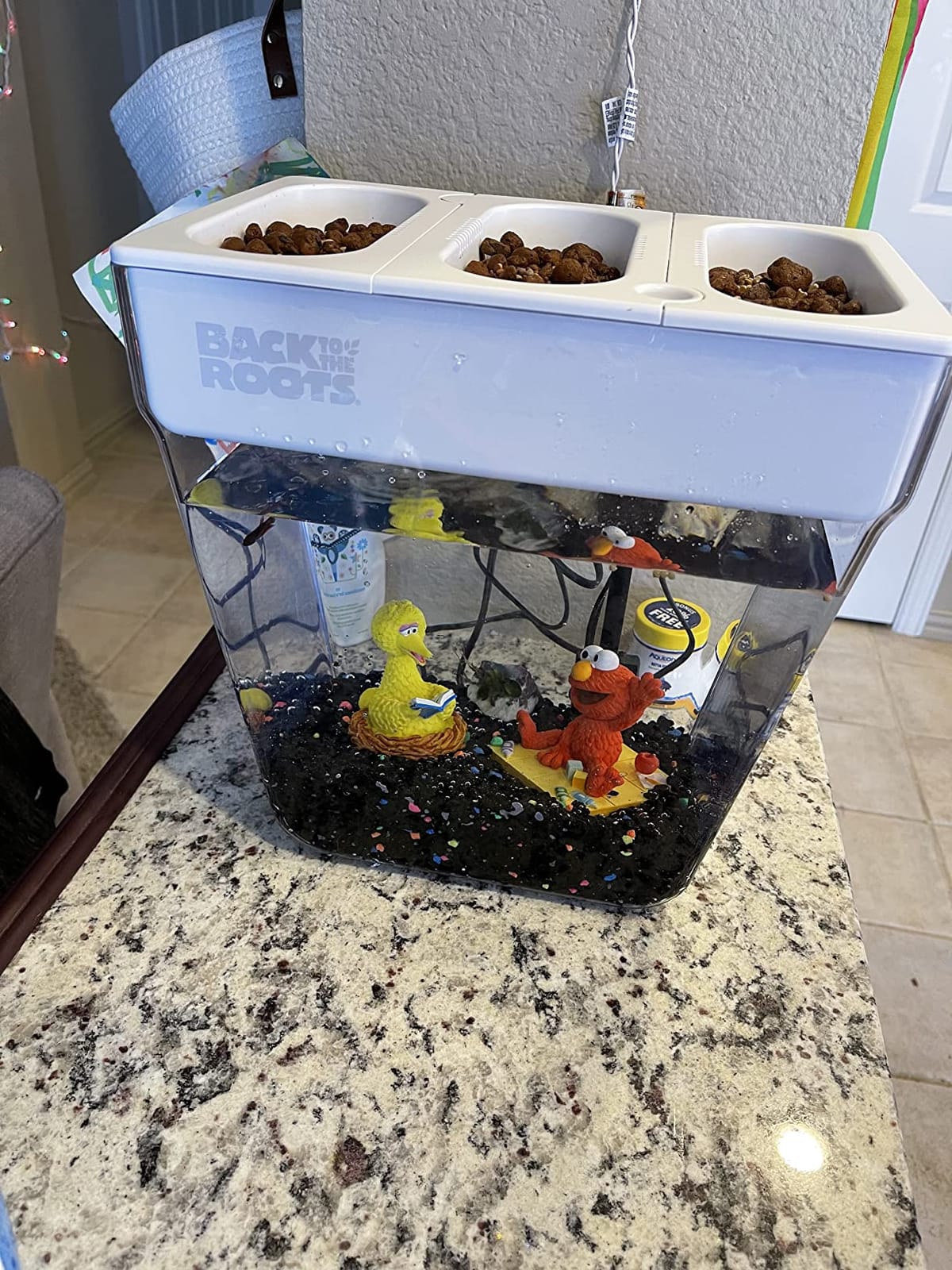 Back to the Roots Indoor Aquaponic Garden - 3 Gallon Self Watering, Mess-Free Planter and Self-Cleaning Fishtank for Herbs, Microgreens, Bamboo, Succulents, and Houseplants, support Fish customer photo 2