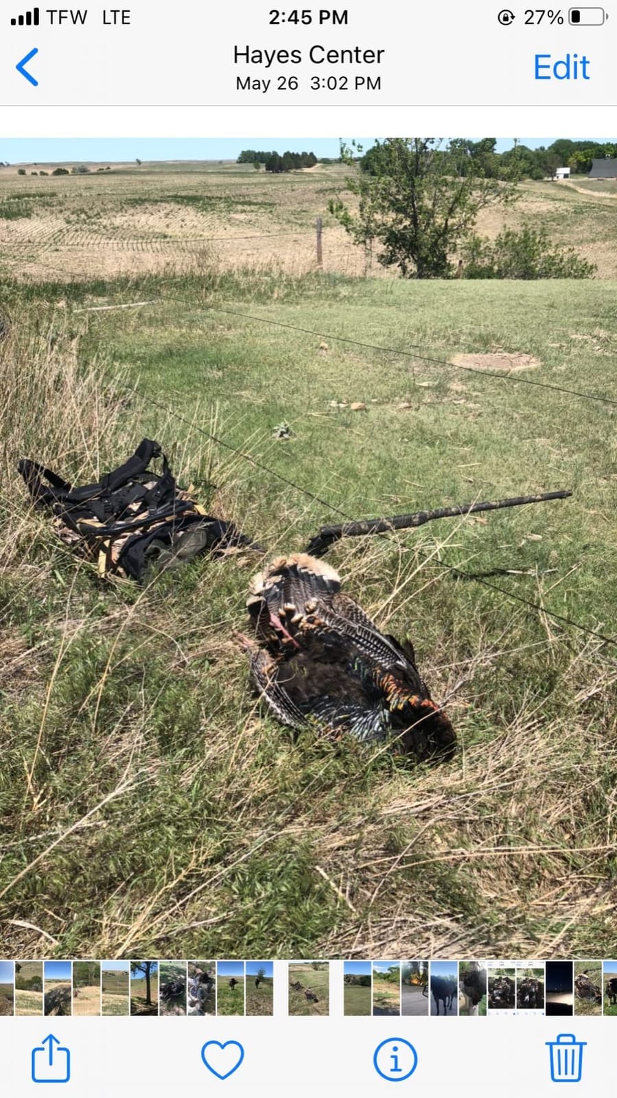 Ameristep Throwdown Ground 3D Leafy Die-Cut Camo Ultra-Compact Easy-Setup Three-Panel Low-Noise Run-and-Gun 2-Person Hunting Blind customer photo 1