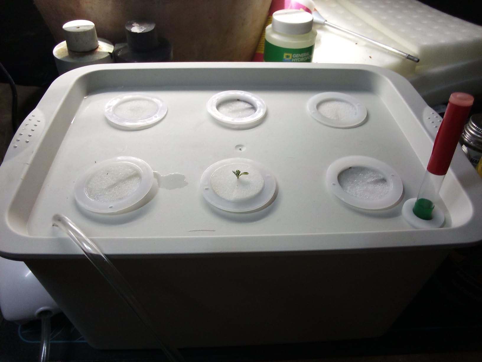 Hydroponics Grower Kit DIY Self Watering Indoor Hydroponics Tools Hydroponic System Planting Container Include Aquarium Air Pump Buoy Planting Box customer photo 2