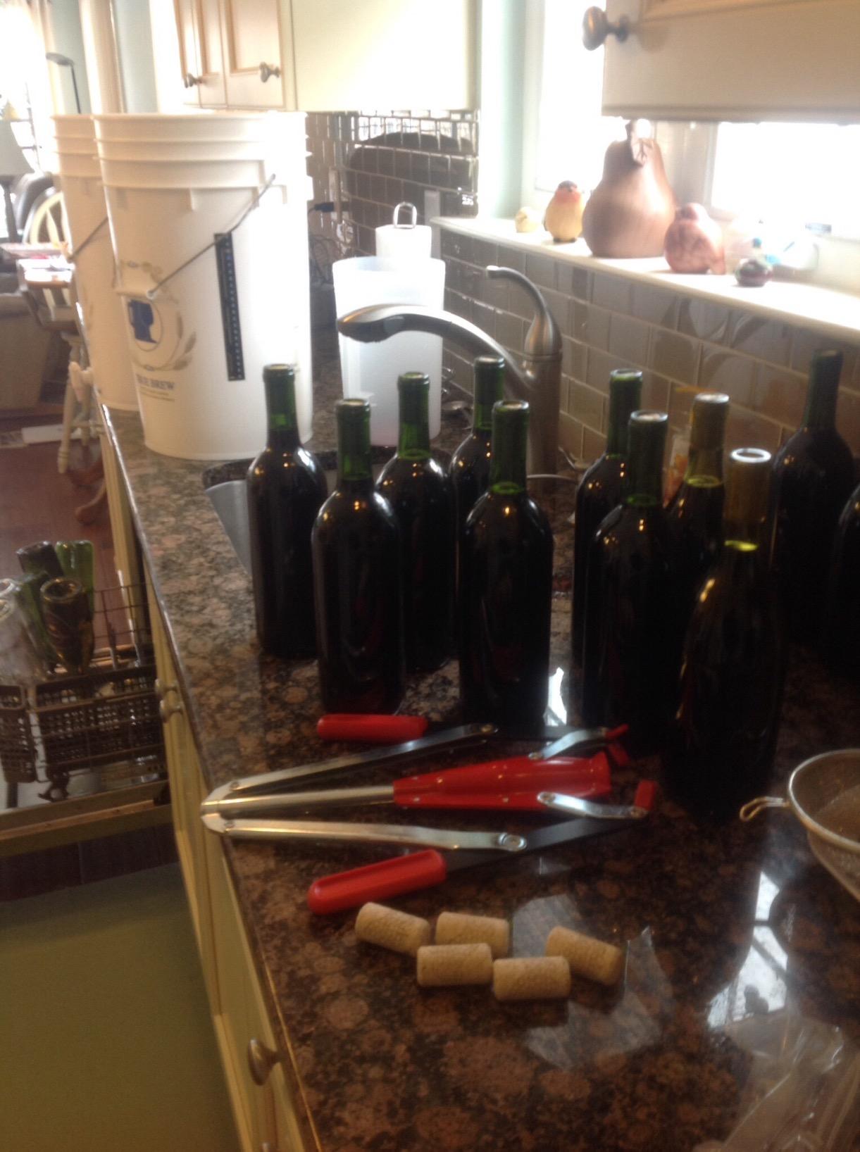 Classic California Pinot Noir Wine Ingredient Kit customer photo 2