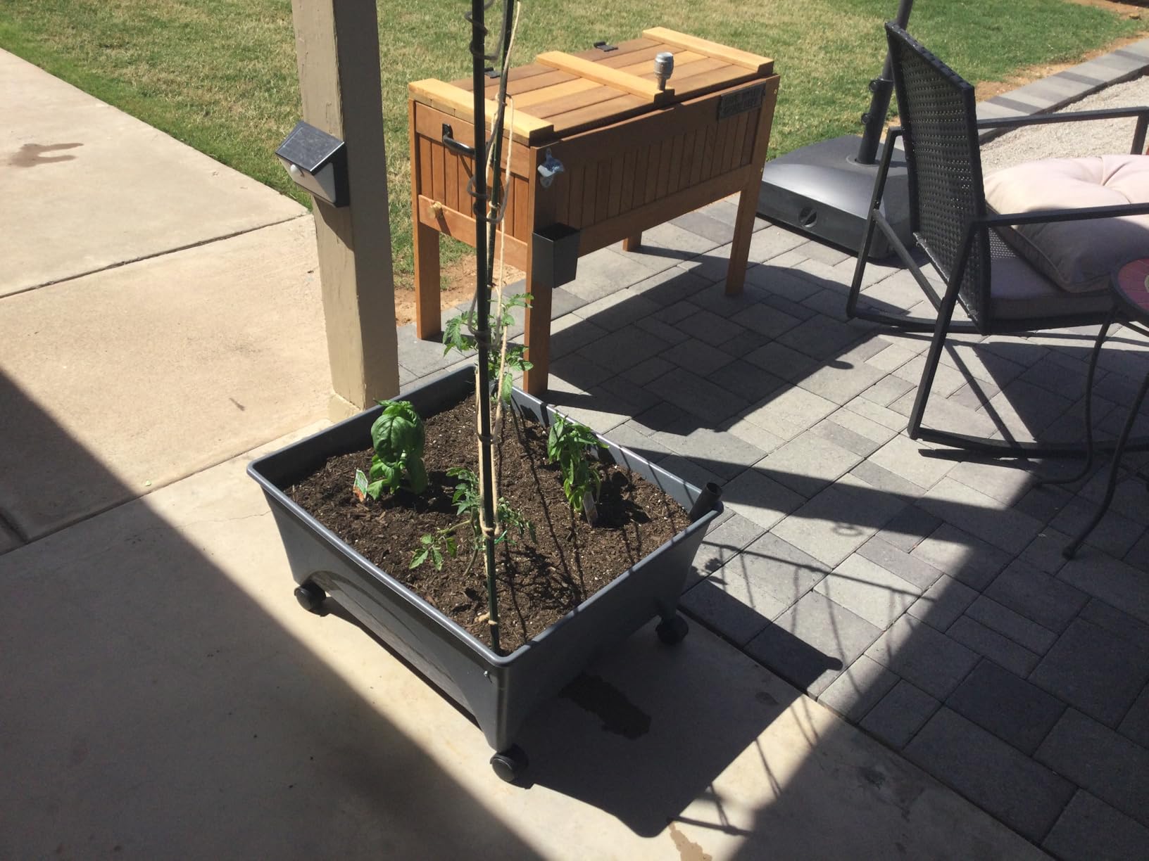 Emsco Group City Picker Raised Bed Grow Box – Self Watering and Improved Aeration – Mobile Unit with Casters - Slate customer photo 1
