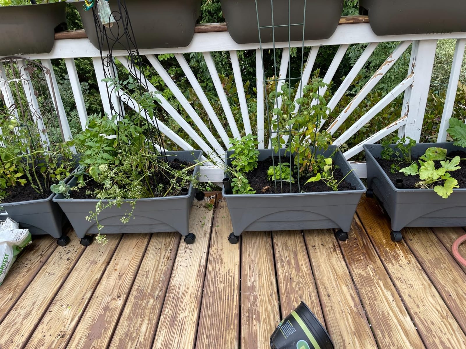 Emsco Group City Picker Raised Bed Grow Box – Self Watering and Improved Aeration – Mobile Unit with Casters - Slate customer photo 2