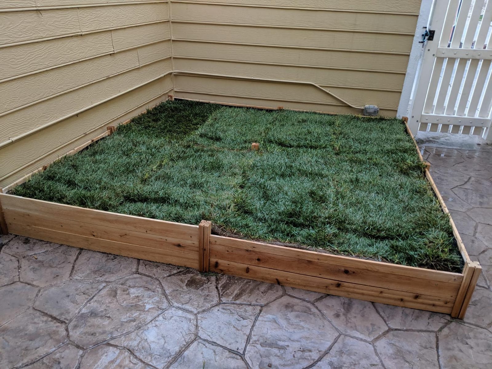 Greenes Fence Classic Cedar Raised Garden Bed, 2' x 8' x 10.5