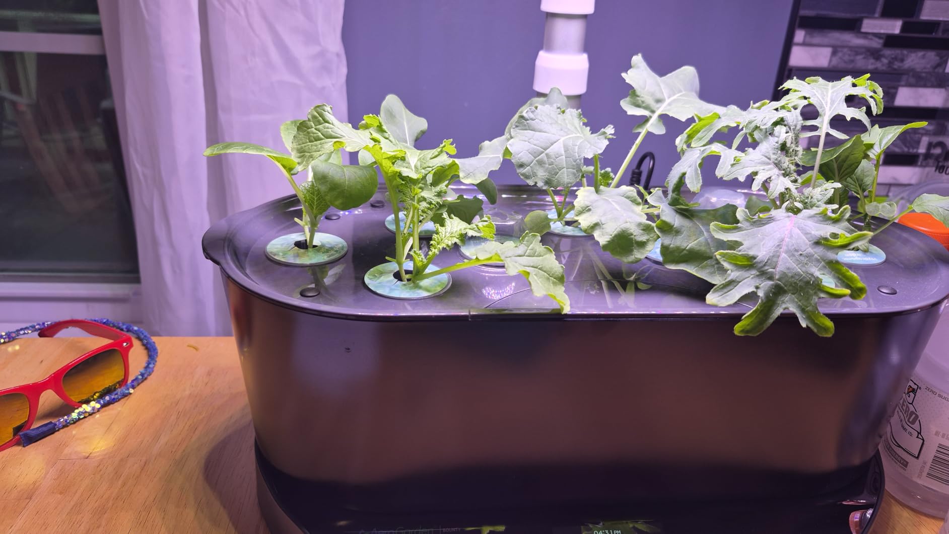 AeroGarden Bounty, Black customer photo 1
