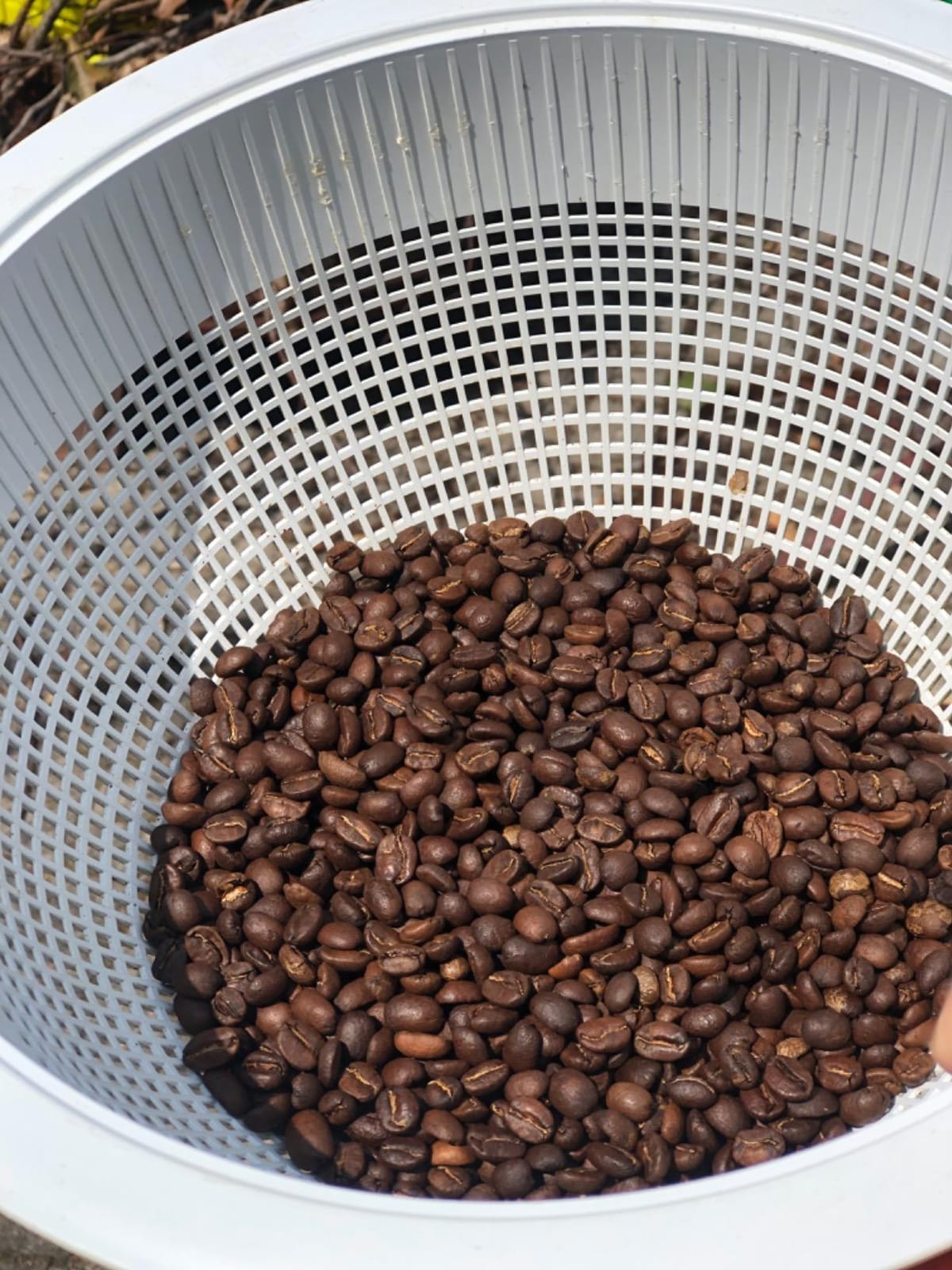 LUEUR Electric Coffee Roasters For Home Use,Coffee Bean Roaster Machine Coffee Bean Roaster For Stovetop, Countertop, Commercial Coffee Bean Roasting Machine 110V customer photo 1